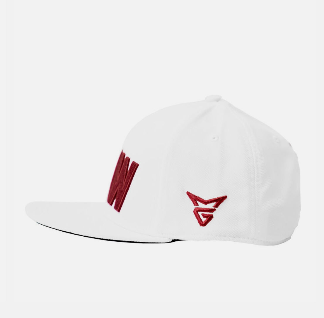 TaylorMade RAW Tour Flatbill Hat N77900 01