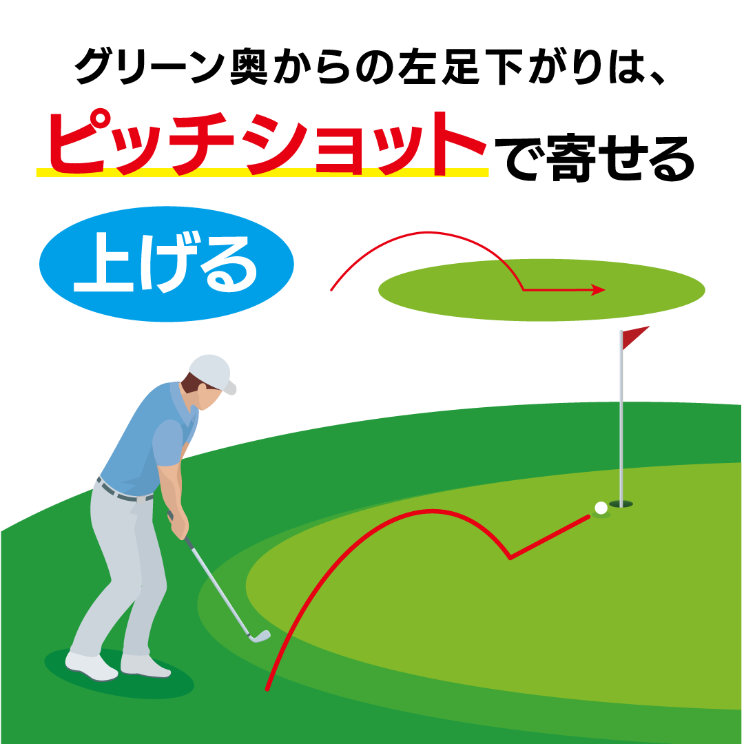 DOLPHIN FLYING WEDGE DFW-225(55度）メンズスペック（スチールシャフト）| Kasco