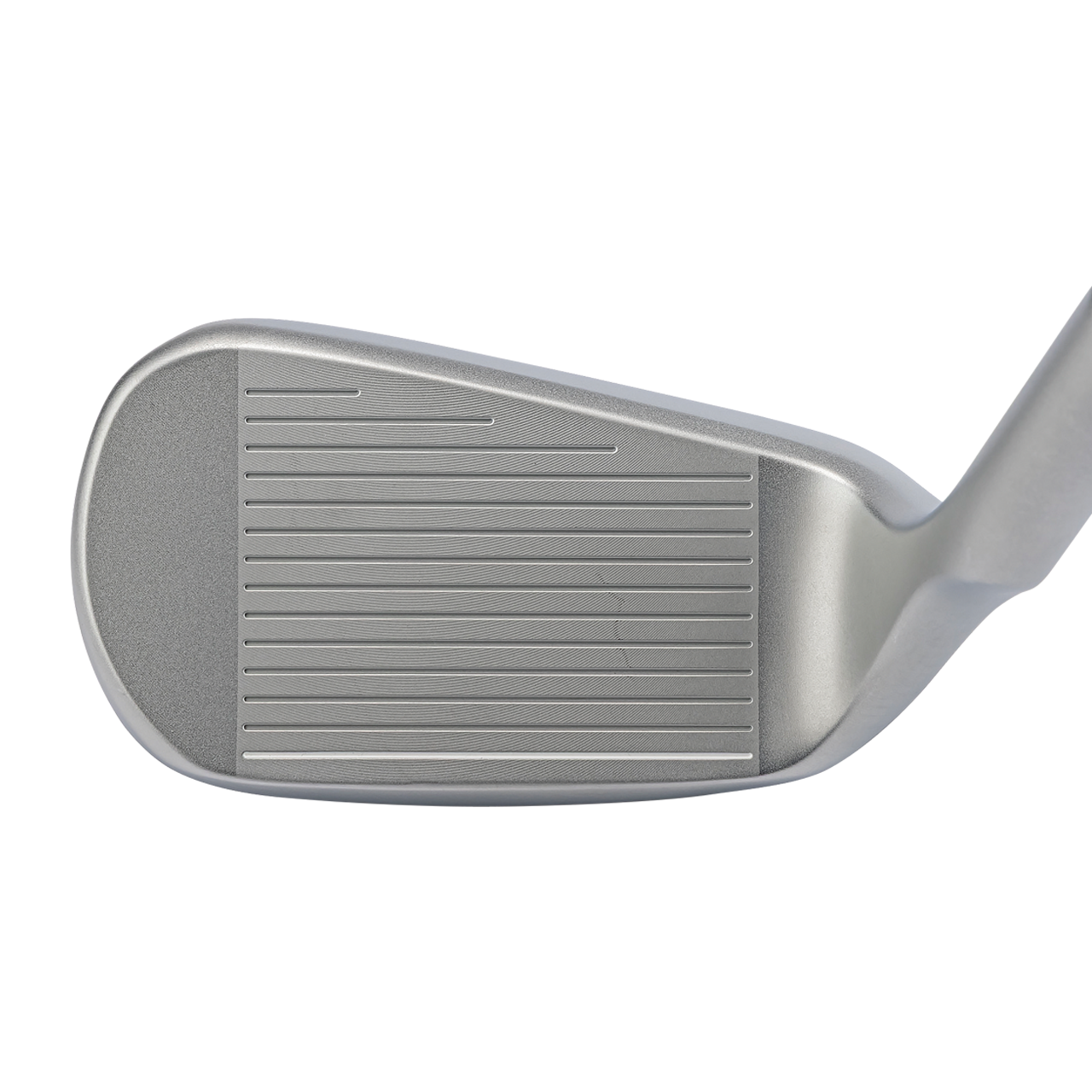 DOLPHIN PITCH ＆ RUN WEDGE DPW-225(48度）メンズスペック（スチールシャフト）| Kasco