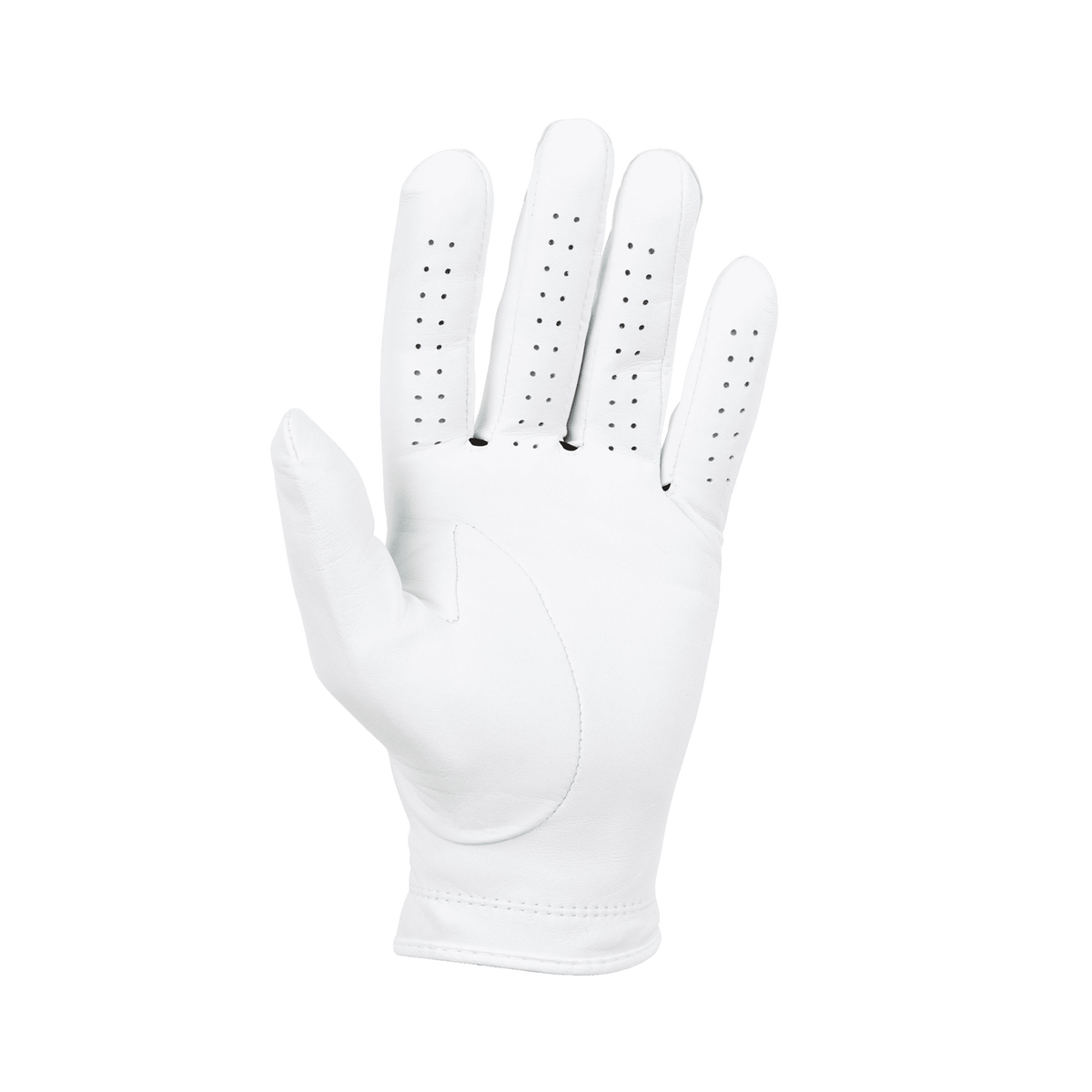 Titleist/Permanent-Soft Men’s Glove 6597E